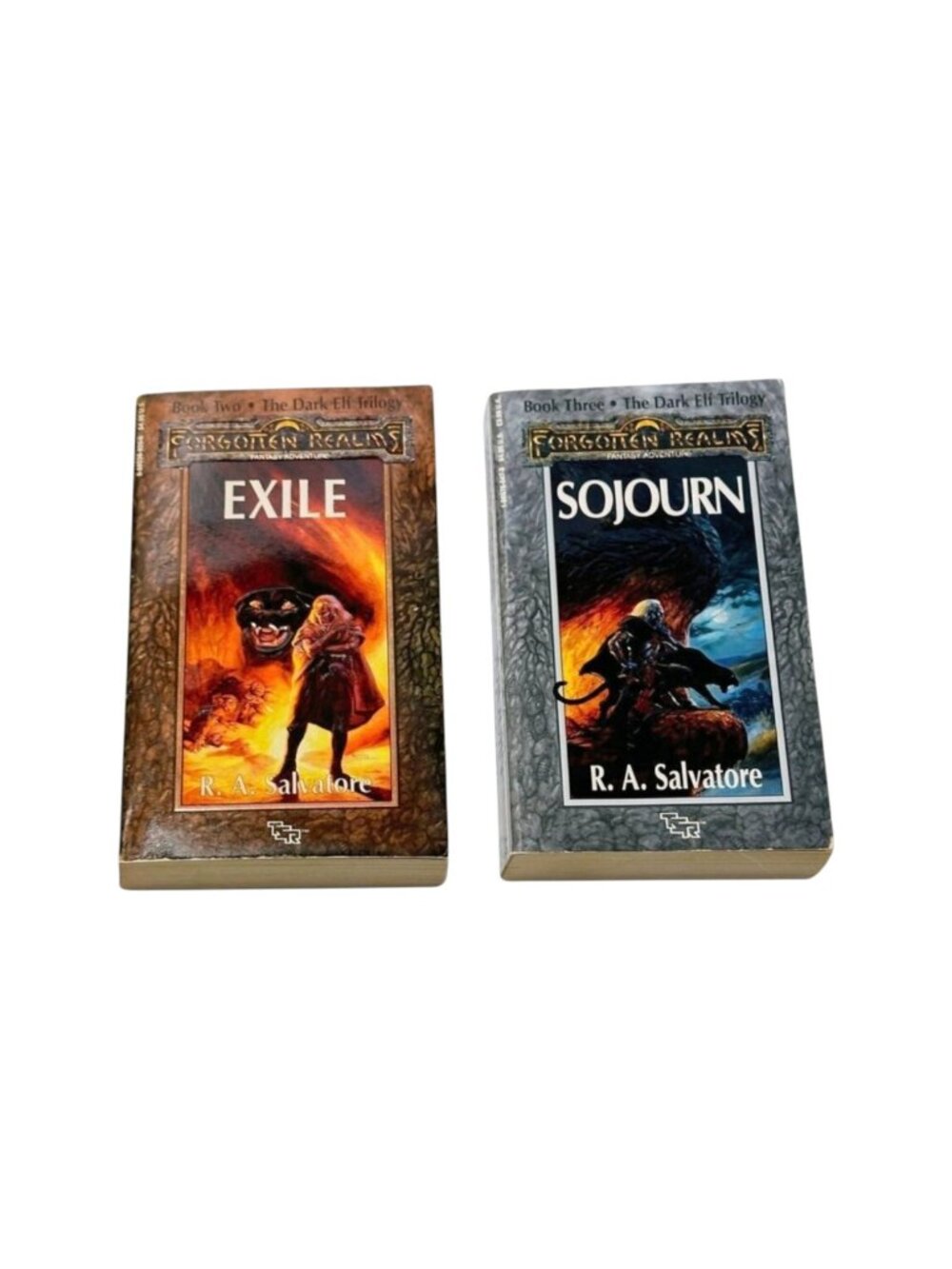 Forgotten Realms RA Salvatore Dark Elf Lot 2 Vol 2 Exile & Vol 3 Sojourn PB Book